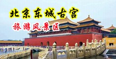 在线观看美女色色自慰视频中国北京-东城古宫旅游风景区